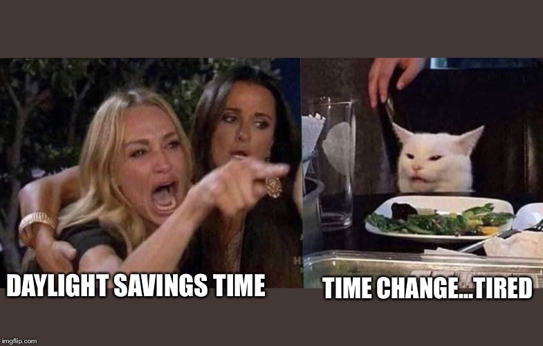 woman yelling at cat | TIME CHANGE...TIRED; DAYLIGHT SAVINGS TIME | image tagged in woman yelling at cat | made w/ Imgflip meme maker