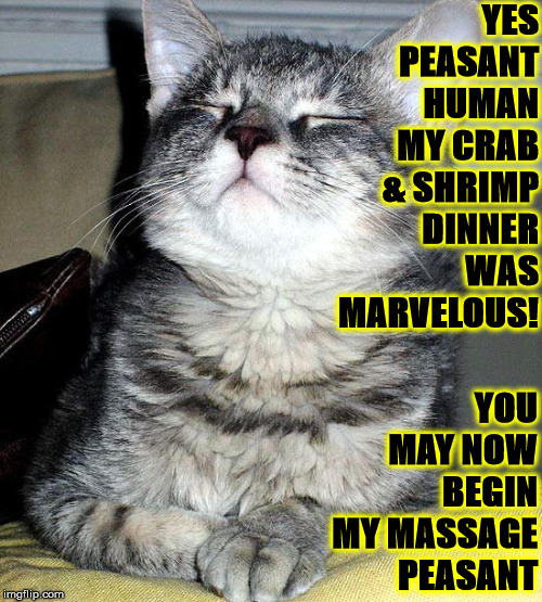 YOU'RE DISMISSED | YES PEASANT HUMAN MY CRAB & SHRIMP DINNER WAS MARVELOUS! YOU MAY NOW BEGIN MY MASSAGE PEASANT | image tagged in you're dismissed | made w/ Imgflip meme maker