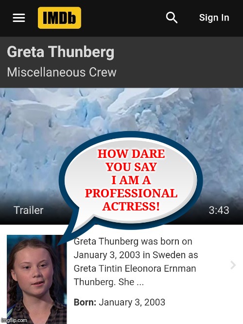 Greta | HOW DARE YOU SAY I AM A PROFESSIONAL ACTRESS! | image tagged in greta | made w/ Imgflip meme maker