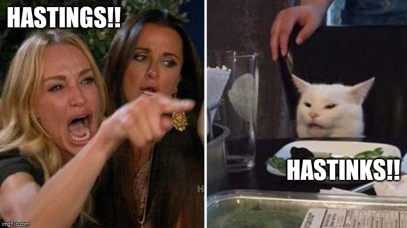 Crying Woman vs Cat | HASTINGS!! HASTINKS!! | image tagged in crying woman vs cat | made w/ Imgflip meme maker