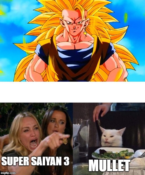 Mullet Cat | SUPER SAIYAN 3; MULLET | image tagged in super saiyan 3 goku,memes,woman yelling at a cat | made w/ Imgflip meme maker