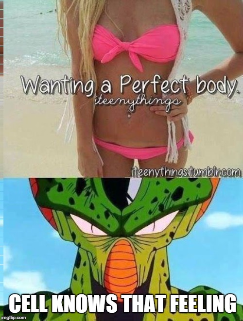 Wanting a perfect body | CELL KNOWS THAT FEELING | image tagged in dragon ball z,cell,dbz,hot girl | made w/ Imgflip meme maker