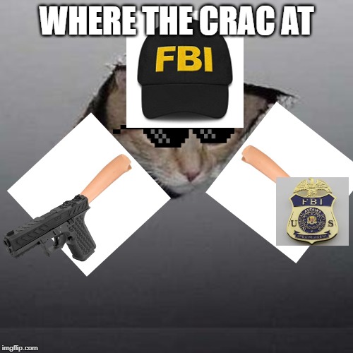 ceiling cat "pass the weed" | WHERE THE CRAC AT | image tagged in memes,crack,ceiling cat,fbi | made w/ Imgflip meme maker