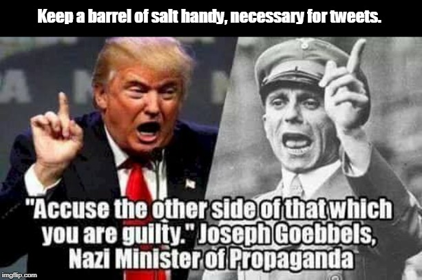 Goebbels Trump | Keep a barrel of salt handy, necessary for tweets. | image tagged in goebbels trump,trump,goebbels,disinformation,accusation,alice in wonderland | made w/ Imgflip meme maker