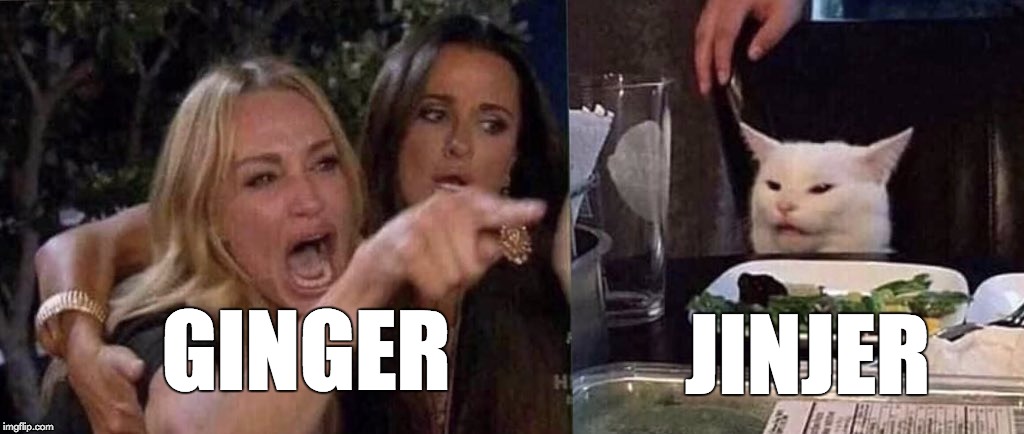 woman yelling at cat | JINJER; GINGER | image tagged in woman yelling at cat | made w/ Imgflip meme maker