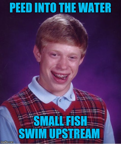Strong Swimmers | PEED INTO THE WATER; SMALL FISH SWIM UPSTREAM | image tagged in memes,bad luck brian,fish,44colt,pee,stuck | made w/ Imgflip meme maker