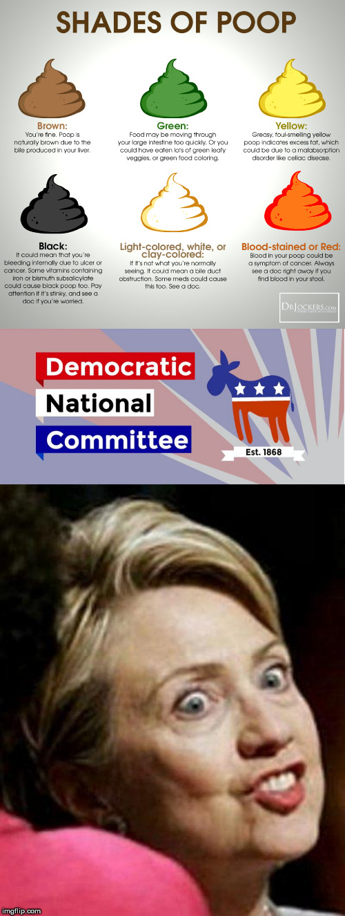image tagged in hillary clinton fish,dnc,poop | made w/ Imgflip meme maker