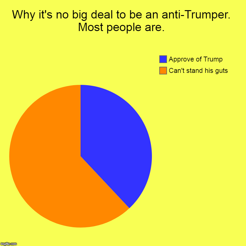 38% yes, 62% HELL NO! | Why it's no big deal to be an anti-Trumper. Most people are. | Can't stand his guts, Approve of Trump | image tagged in charts,pie charts,trump,approval,disapproval | made w/ Imgflip chart maker
