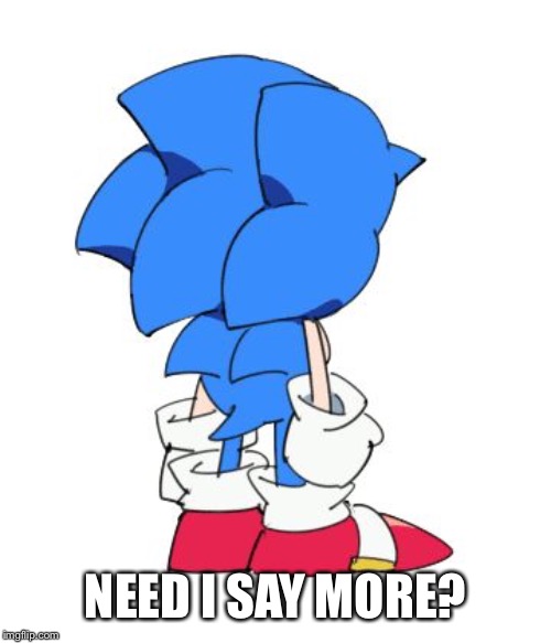 Classic Sonic | NEED I SAY MORE? | image tagged in classic sonic | made w/ Imgflip meme maker