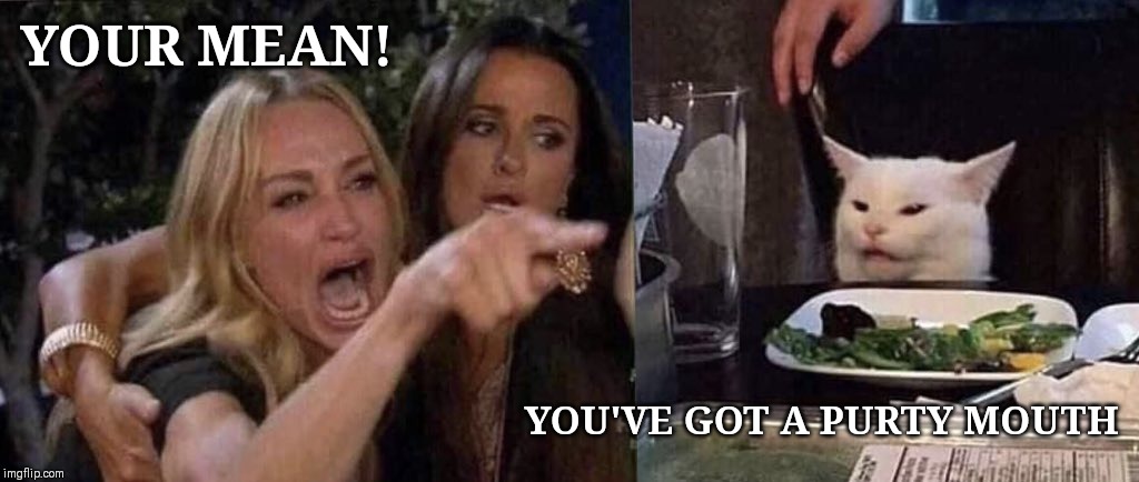 woman yelling at cat | YOUR MEAN! YOU'VE GOT A PURTY MOUTH | image tagged in woman yelling at cat | made w/ Imgflip meme maker