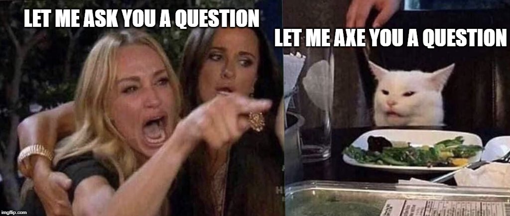 woman yelling at cat | LET ME ASK YOU A QUESTION; LET ME AXE YOU A QUESTION | image tagged in woman yelling at cat | made w/ Imgflip meme maker