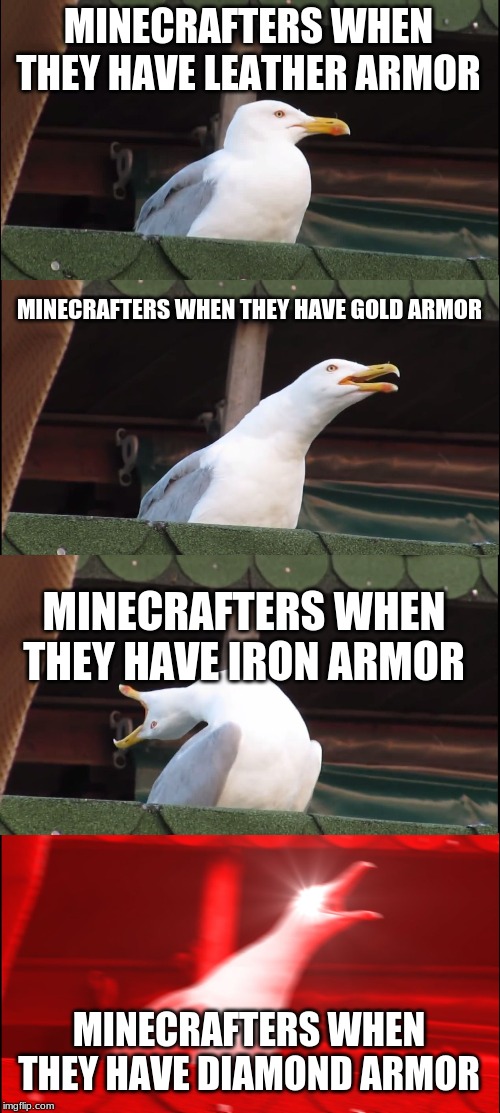 Inhaling Seagull | MINECRAFTERS WHEN THEY HAVE LEATHER ARMOR; MINECRAFTERS WHEN THEY HAVE GOLD ARMOR; MINECRAFTERS WHEN THEY HAVE IRON ARMOR; MINECRAFTERS WHEN THEY HAVE DIAMOND ARMOR | image tagged in memes,inhaling seagull | made w/ Imgflip meme maker