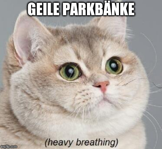 Heavy Breathing Cat Meme | GEILE PARKBÄNKE | image tagged in memes,heavy breathing cat | made w/ Imgflip meme maker