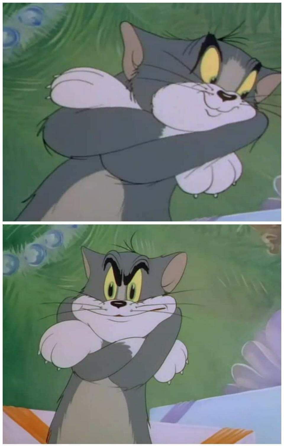 Tom and jerry Blank Template Imgflip