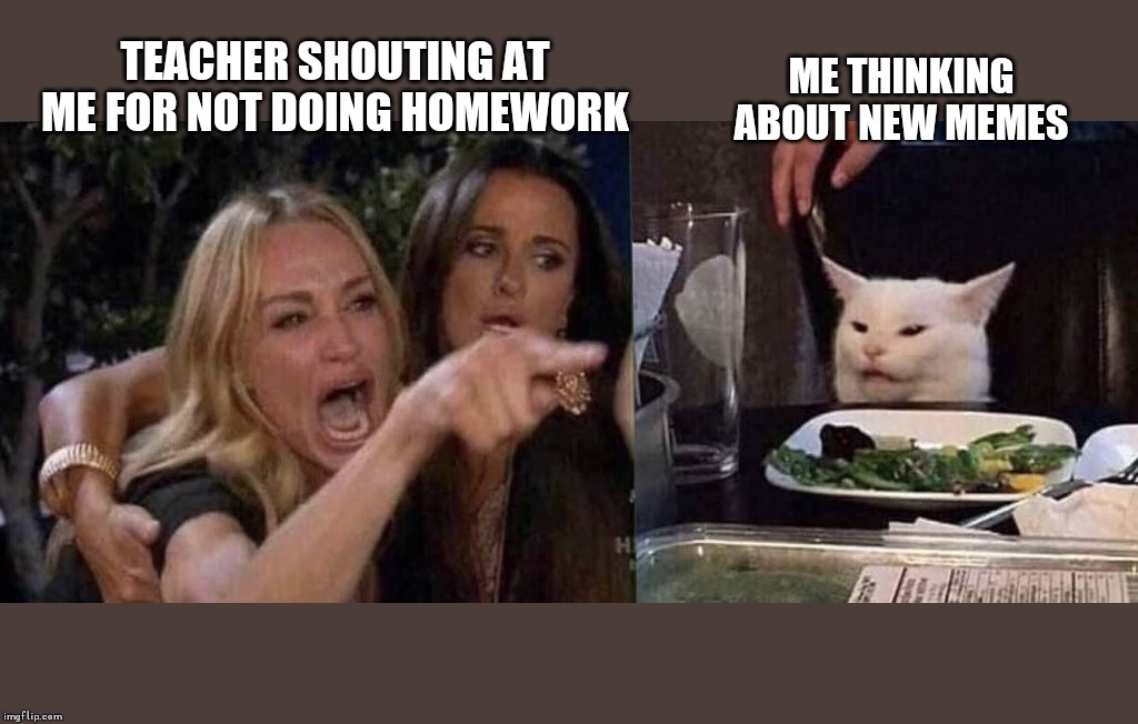 woman yelling at cat | ME THINKING ABOUT NEW MEMES; TEACHER SHOUTING AT ME FOR NOT DOING HOMEWORK | image tagged in woman yelling at cat | made w/ Imgflip meme maker