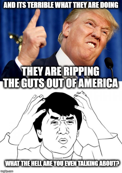 He is a total whackjob | AND ITS TERRIBLE WHAT THEY ARE DOING; THEY ARE RIPPING THE GUTS OUT OF AMERICA; WHAT THE HELL ARE YOU EVEN TALKING ABOUT? | image tagged in memes,jackie chan wtf,donald trump,maga,impeach trump | made w/ Imgflip meme maker