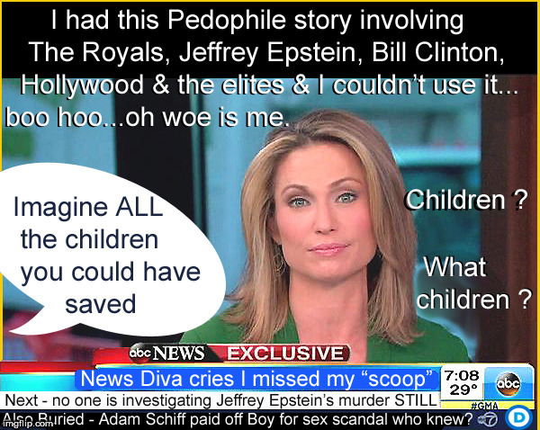 When you can't make it in Hollywood...try being a News Wh0re instead | image tagged in amy robach,abc,jeffrey epstein,pedophile,lol so funny,politics lol | made w/ Imgflip meme maker