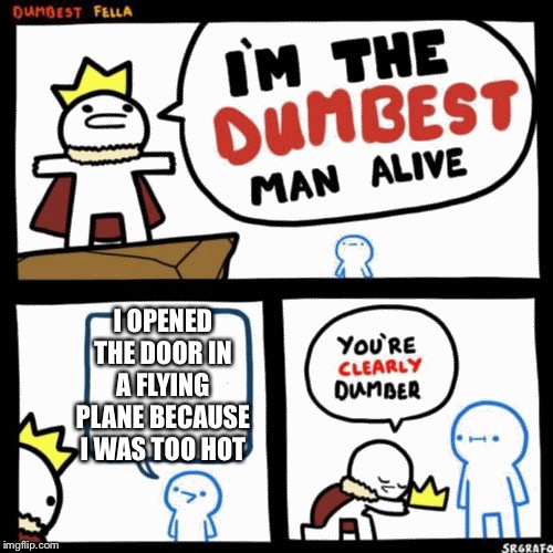 I'm the dumbest man alive | I OPENED THE DOOR IN A FLYING PLANE BECAUSE I WAS TOO HOT | image tagged in i'm the dumbest man alive | made w/ Imgflip meme maker