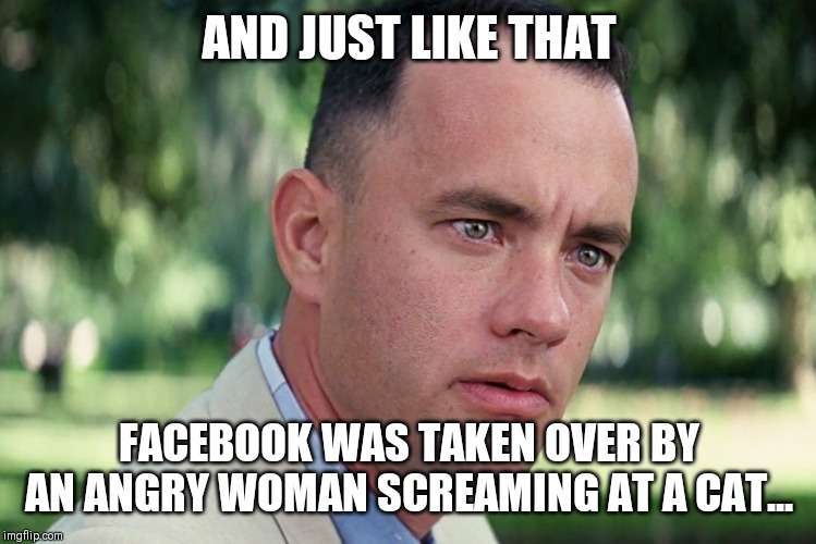 And Just Like That Meme | AND JUST LIKE THAT; FACEBOOK WAS TAKEN OVER BY AN ANGRY WOMAN SCREAMING AT A CAT... | image tagged in memes,and just like that | made w/ Imgflip meme maker