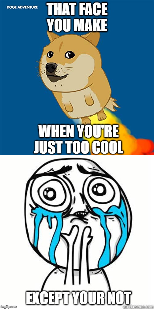 THAT FACE YOU MAKE; WHEN YOU'RE JUST TOO COOL; EXCEPT YOUR NOT | image tagged in crying face,doge | made w/ Imgflip meme maker
