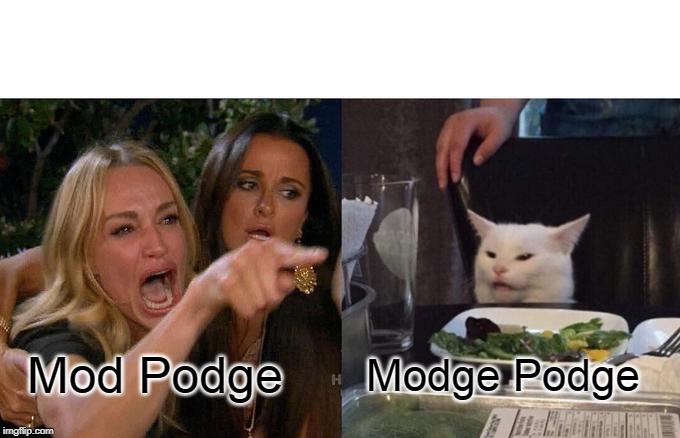 Woman Yelling At Cat | Modge Podge; Mod Podge | image tagged in memes,woman yelling at a cat | made w/ Imgflip meme maker
