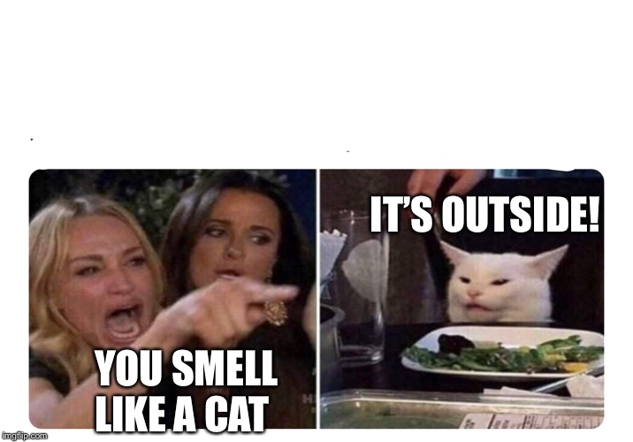 Housewives cat | IT’S OUTSIDE! YOU SMELL LIKE A CAT | image tagged in housewives cat | made w/ Imgflip meme maker