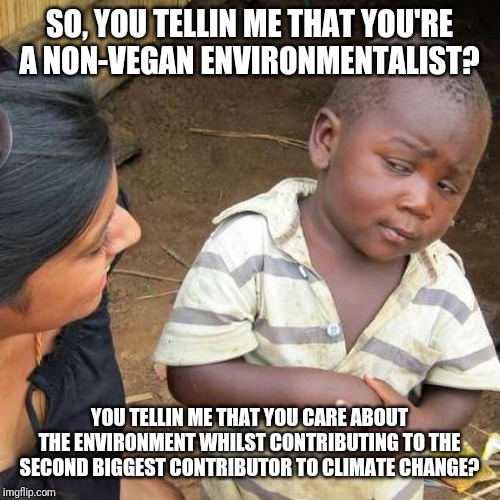 Third World Skeptical Kid | SO, YOU TELLIN ME THAT YOU'RE A NON-VEGAN ENVIRONMENTALIST? YOU TELLIN ME THAT YOU CARE ABOUT THE ENVIRONMENT WHILST CONTRIBUTING TO THE SECOND BIGGEST CONTRIBUTOR TO CLIMATE CHANGE? | image tagged in memes,third world skeptical kid | made w/ Imgflip meme maker