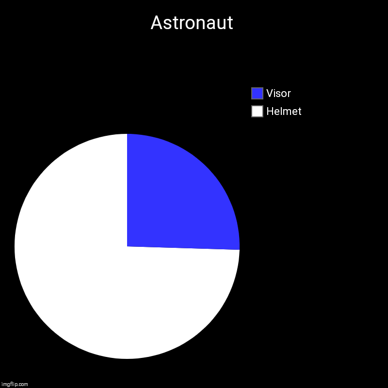 Astronaut | Helmet, Visor | image tagged in charts,pie charts | made w/ Imgflip chart maker