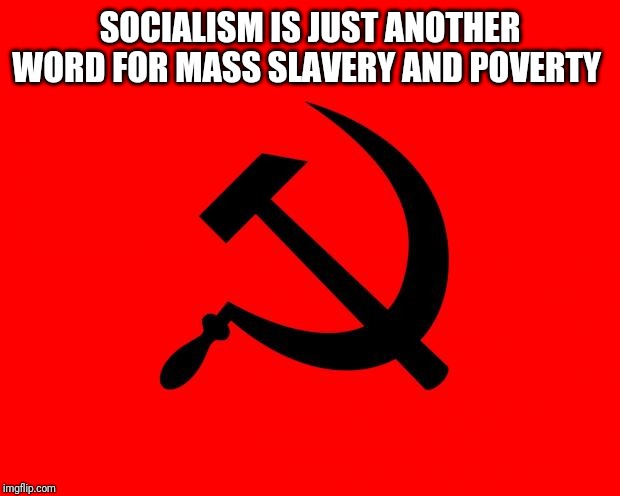 socialist | SOCIALISM IS JUST ANOTHER WORD FOR MASS SLAVERY AND POVERTY | image tagged in socialist | made w/ Imgflip meme maker