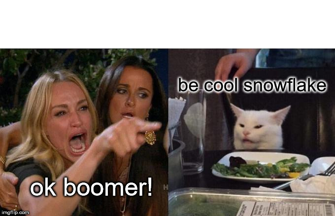 Woman Yelling At Cat Meme | be cool snowflake; ok boomer! | image tagged in memes,woman yelling at a cat | made w/ Imgflip meme maker