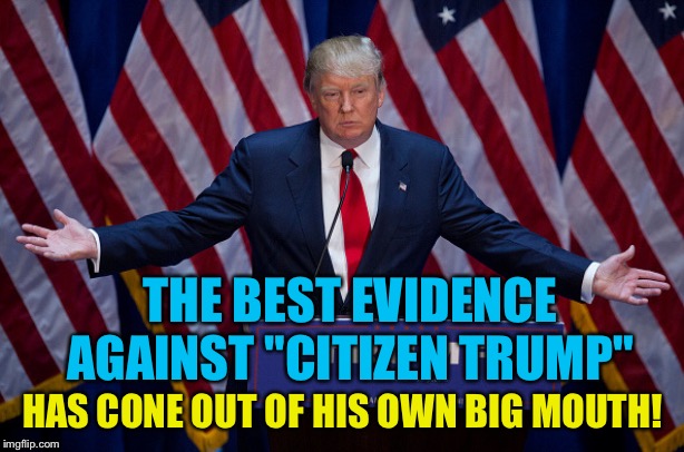 Donald Trump | THE BEST EVIDENCE AGAINST "CITIZEN TRUMP" HAS COME OUT OF HIS OWN BIG MOUTH! | image tagged in donald trump | made w/ Imgflip meme maker