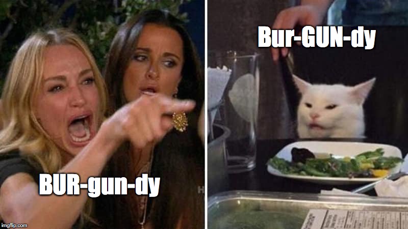 Girls vs Cat | Bur-GUN-dy; BUR-gun-dy | image tagged in girls vs cat | made w/ Imgflip meme maker