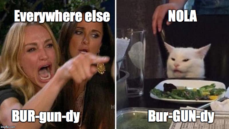 Girls vs Cat | Everywhere else                       NOLA; BUR-gun-dy                           Bur-GUN-dy | image tagged in girls vs cat | made w/ Imgflip meme maker