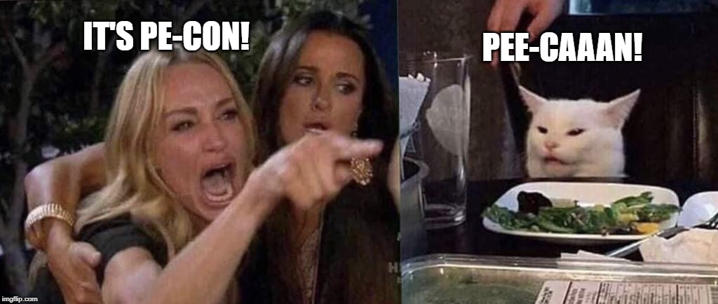 woman yelling at cat | PEE-CAAAN! IT'S PE-CON! | image tagged in woman yelling at cat | made w/ Imgflip meme maker