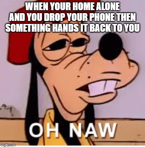 oh naw moment | WHEN YOUR HOME ALONE AND YOU DROP YOUR PHONE THEN SOMETHING HANDS IT BACK TO YOU | image tagged in funny,releatable,memes,so true,goofy,goofy oh naw | made w/ Imgflip meme maker