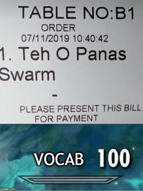 VOCAB | image tagged in skyrim 100 blank | made w/ Imgflip meme maker