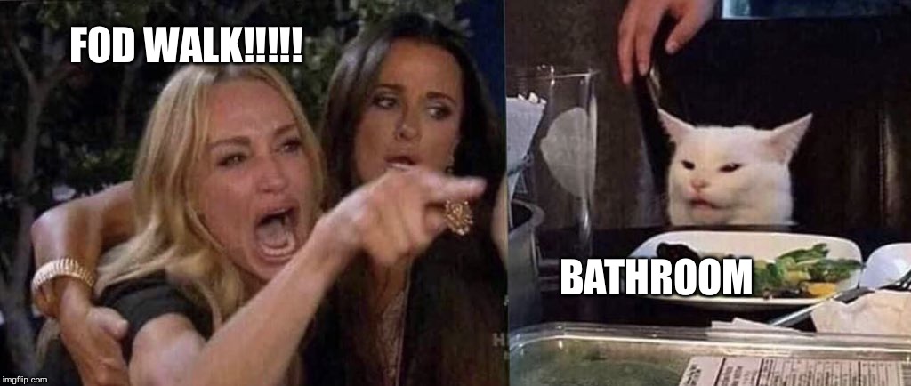 woman yelling at cat | FOD WALK!!!!! BATHROOM | image tagged in woman yelling at cat | made w/ Imgflip meme maker