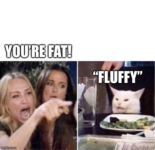 Real housewives screaming cat | YOU’RE FAT! “FLUFFY” | image tagged in real housewives screaming cat | made w/ Imgflip meme maker