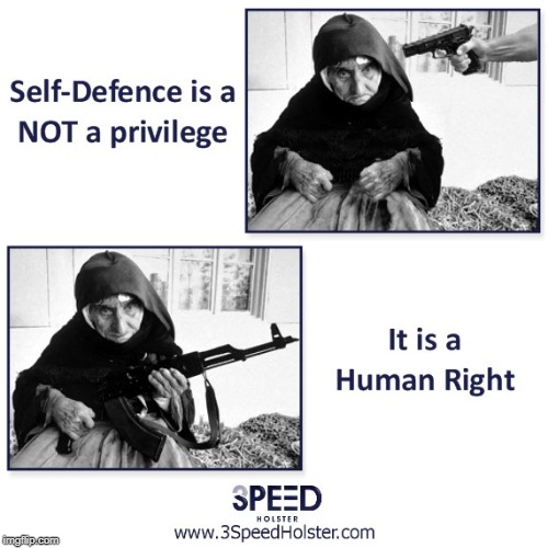 Self-Defence is a NOT a privilege | image tagged in gun control,gun rights,holster,conceal carry,assault rifle,assault weapons | made w/ Imgflip meme maker