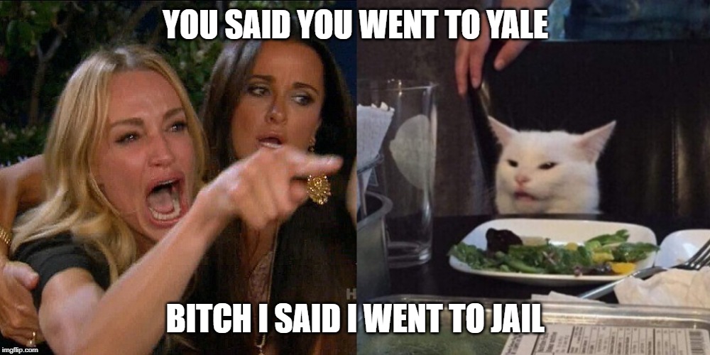 Woman yelling at cat | YOU SAID YOU WENT TO YALE; BITCH I SAID I WENT TO JAIL | image tagged in woman yelling at cat | made w/ Imgflip meme maker