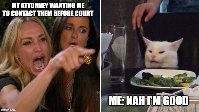 Angry lady cat | MY ATTORNEY WANTING ME TO CONTACT THEM BEFORE COURT; ME: NAH I'M GOOD | image tagged in angry lady cat | made w/ Imgflip meme maker
