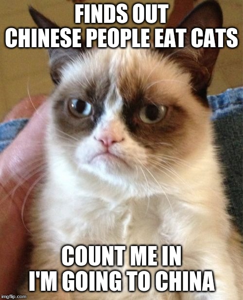Grumpy Cat | FINDS OUT CHINESE PEOPLE EAT CATS; COUNT ME IN I'M GOING TO CHINA | image tagged in memes,grumpy cat | made w/ Imgflip meme maker