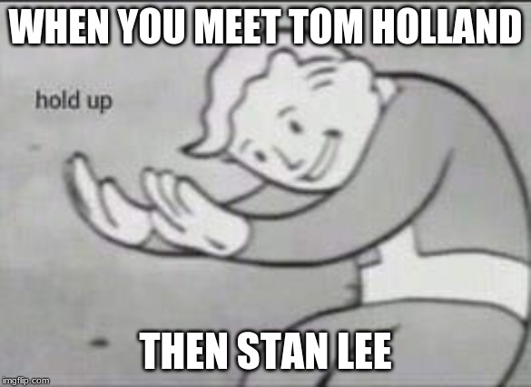 Fallout Hold Up | WHEN YOU MEET TOM HOLLAND; THEN STAN LEE | image tagged in fallout hold up | made w/ Imgflip meme maker