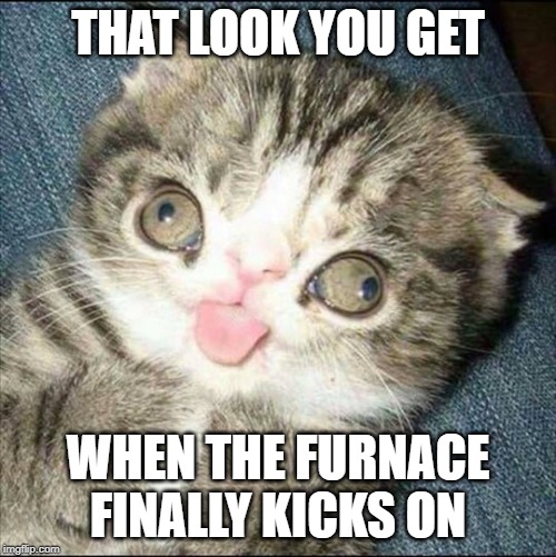 Derp Cat | THAT LOOK YOU GET; WHEN THE FURNACE FINALLY KICKS ON | image tagged in derp cat | made w/ Imgflip meme maker