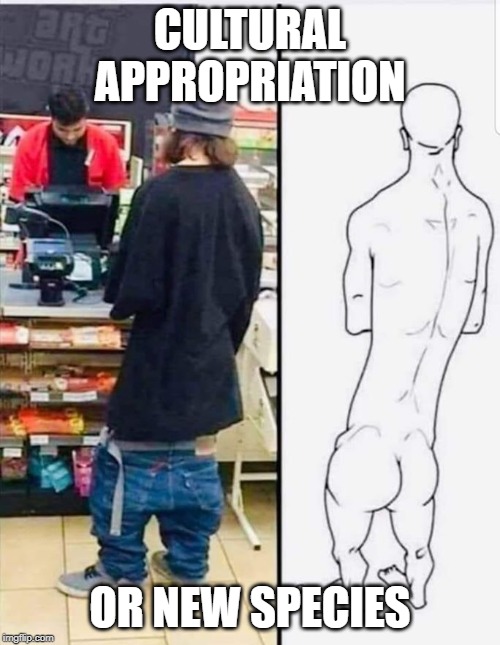 CULTURAL APPROPRIATION; OR NEW SPECIES | image tagged in funny,political meme,politics | made w/ Imgflip meme maker