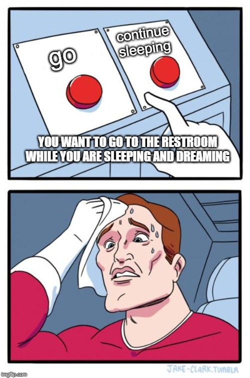 Two Buttons | continue sleeping; go; YOU WANT TO GO TO THE RESTROOM WHILE YOU ARE SLEEPING AND DREAMING | image tagged in memes,two buttons | made w/ Imgflip meme maker