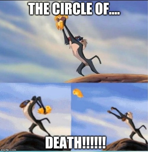 lion being yeeted | THE CIRCLE OF.... DEATH!!!!!! | image tagged in lion being yeeted | made w/ Imgflip meme maker
