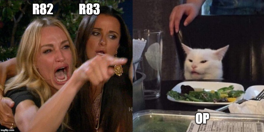 Woman yelling at cat | R82           R83; OP | image tagged in woman yelling at cat | made w/ Imgflip meme maker