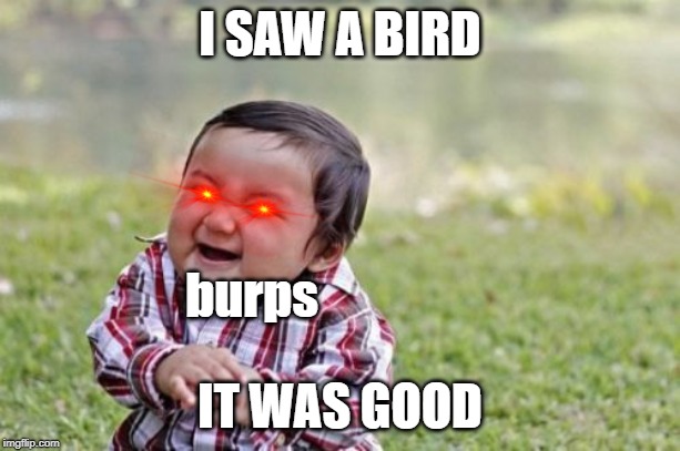 Evil Toddler Meme | I SAW A BIRD; burps; IT WAS GOOD | image tagged in memes,evil toddler | made w/ Imgflip meme maker