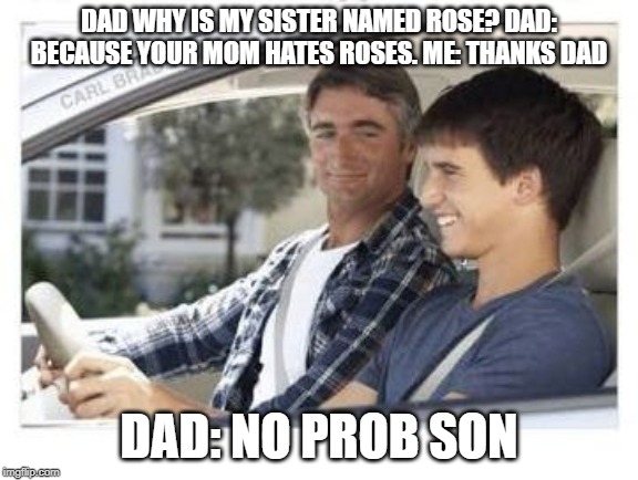 Dad why is my sisters name | DAD WHY IS MY SISTER NAMED ROSE? DAD: BECAUSE YOUR MOM HATES ROSES. ME: THANKS DAD; DAD: NO PROB SON | image tagged in dad why is my sisters name | made w/ Imgflip meme maker